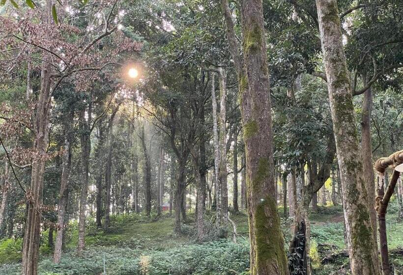 900 Woods Wayanad Eco Resort   A Sprawling Jungle Stay Near Glass Bridge