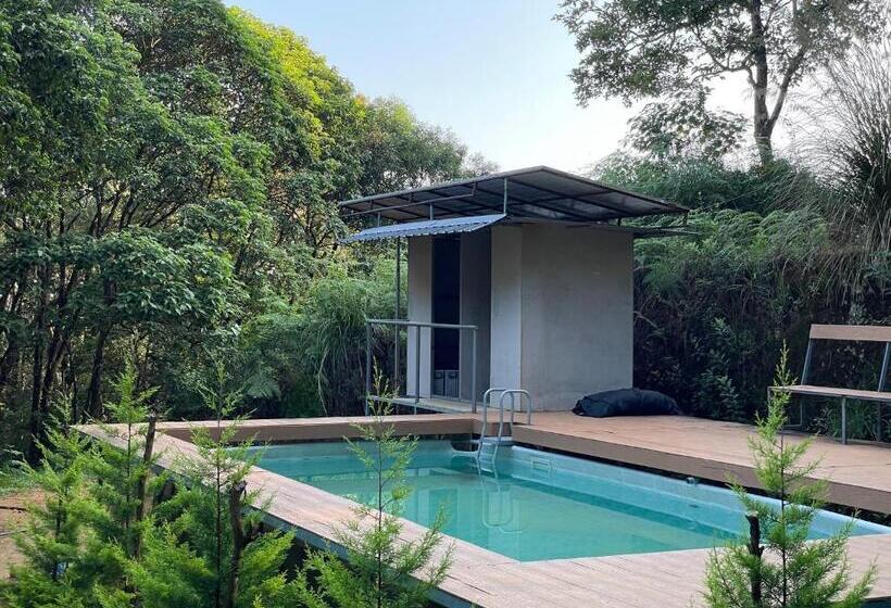 900 Woods Wayanad Eco Resort   A Sprawling Jungle Stay Near Glass Bridge