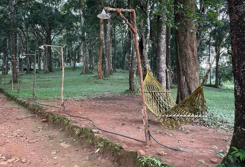 900 Woods Wayanad Eco Resort   A Sprawling Jungle Stay Near Glass Bridge
