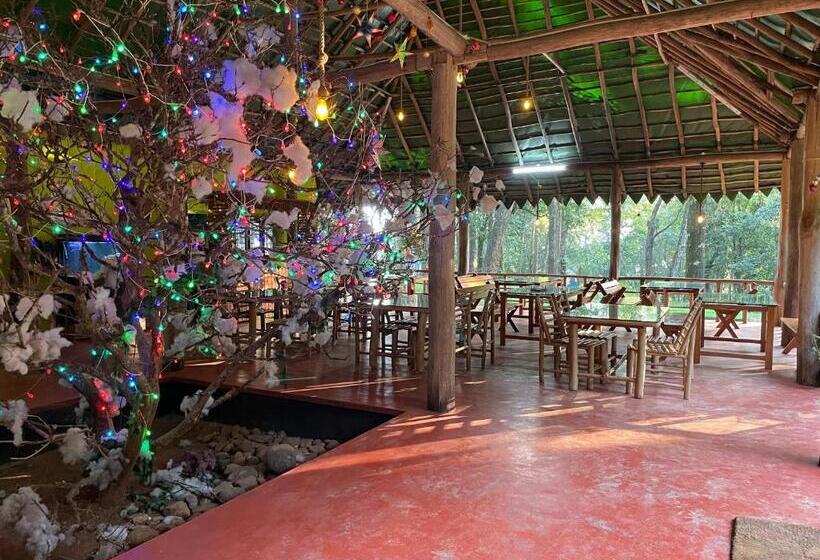 900 Woods Wayanad Eco Resort   A Sprawling Jungle Stay Near Glass Bridge