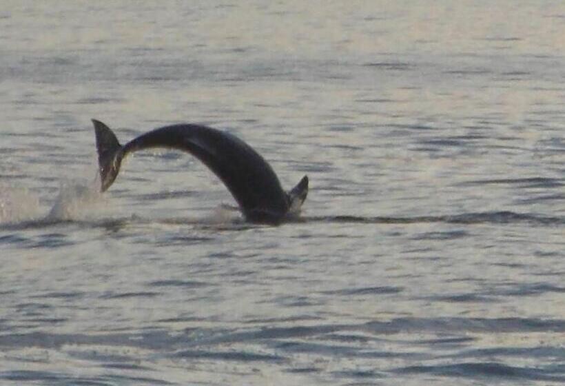 Общежитие Alojamiento Corazon De Ballena