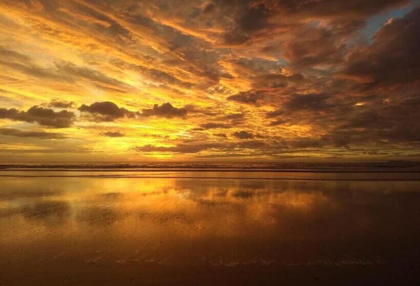فندق صغير Alouatta Playa Coyote