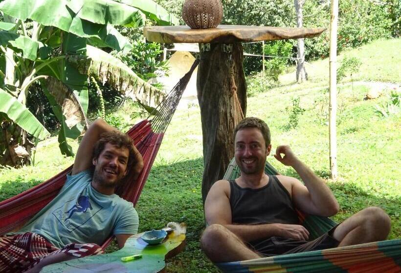 فندق صغير Alouatta Playa Coyote