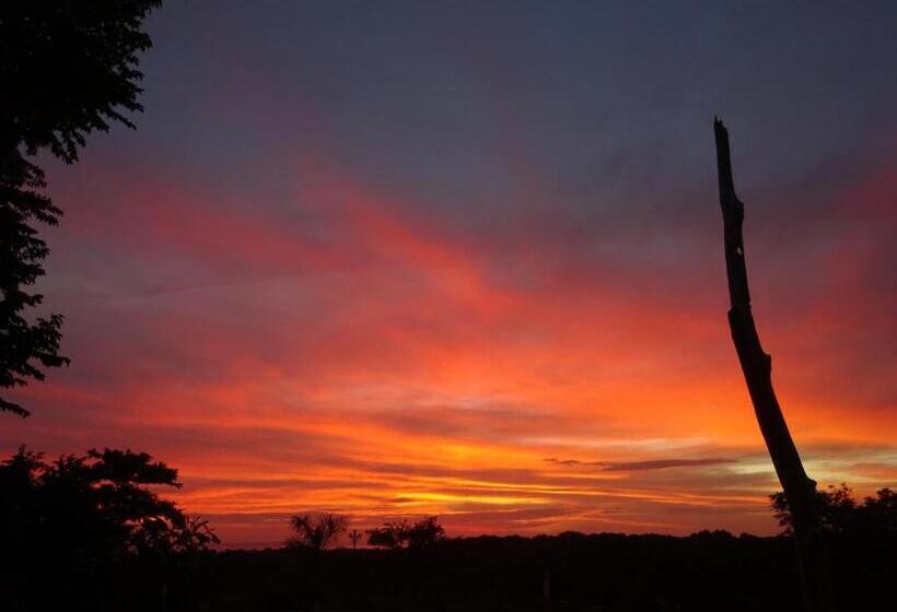 فندق صغير Alouatta Playa Coyote