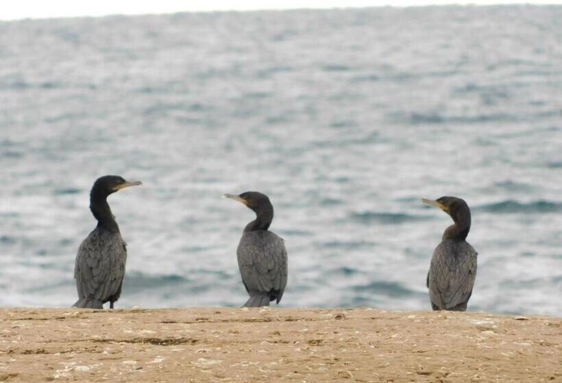 فندق صغير El Cristal