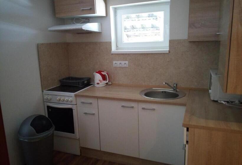 Общежитие černá Kočka  Low Cost Ubytování