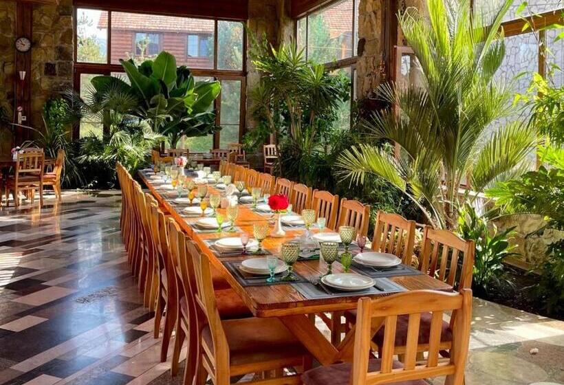 فندق صغير Grig House Eco Resort