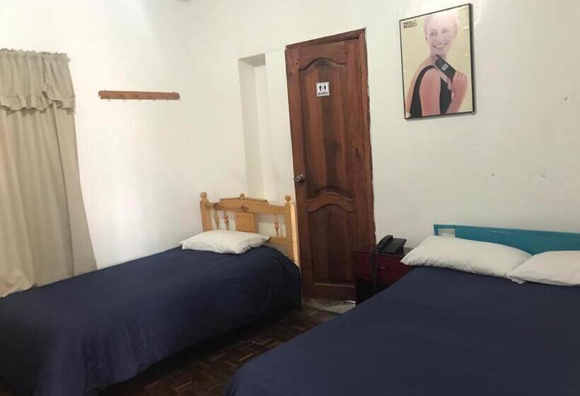 Hostel Hostal Luz Wilson