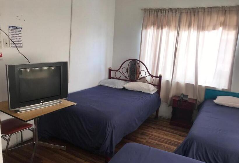 Hostel Hostal Luz Wilson