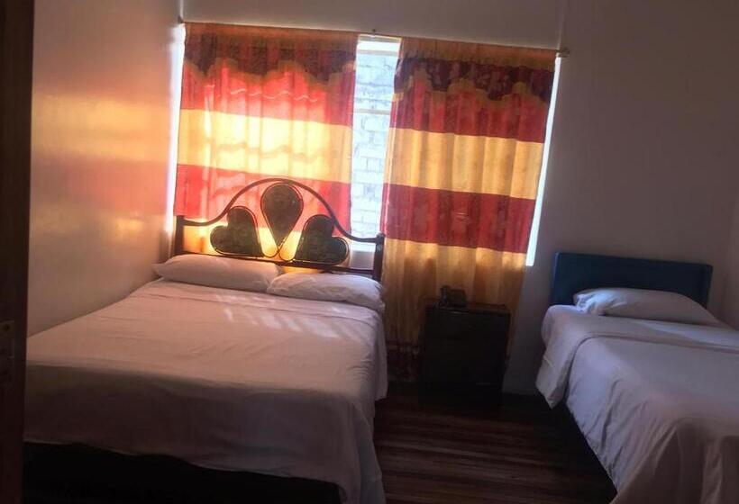 هاستل Hostal Luz Wilson