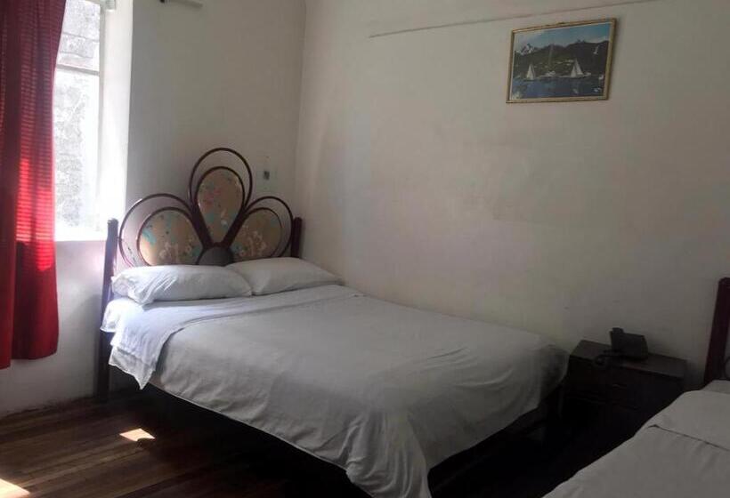 Hostel Hostal Luz Wilson