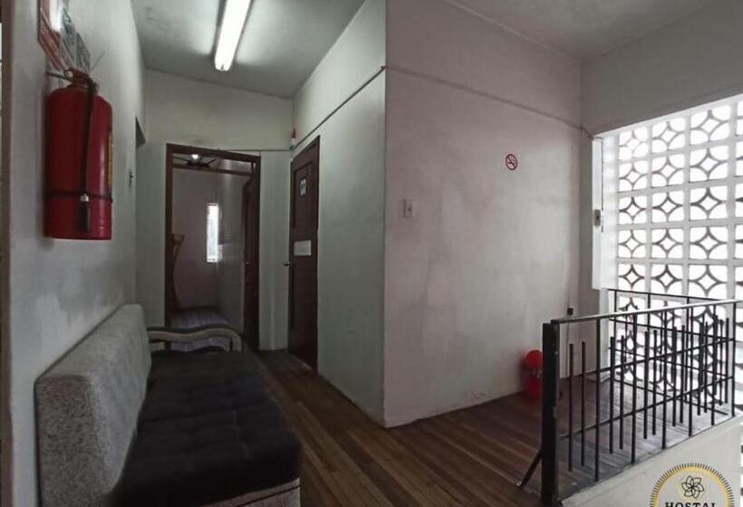 Hostel Hostal Luz Wilson