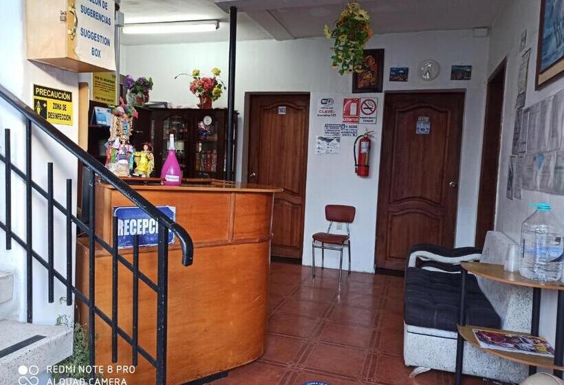 Hostel Hostal Luz Wilson