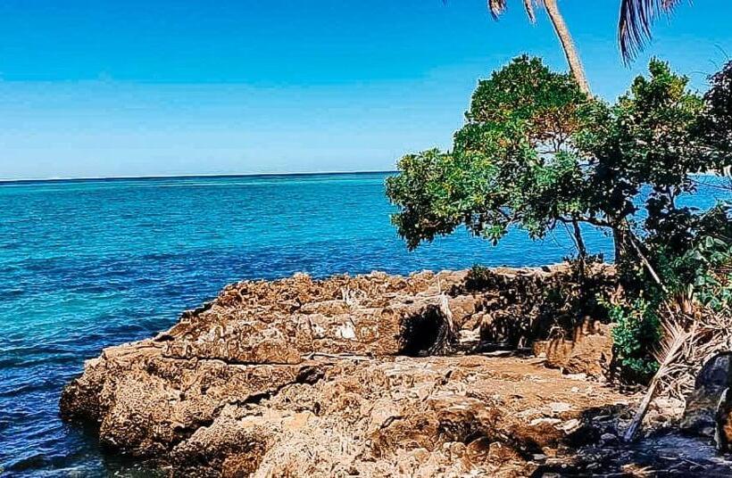 هاستل Pousada Baianês