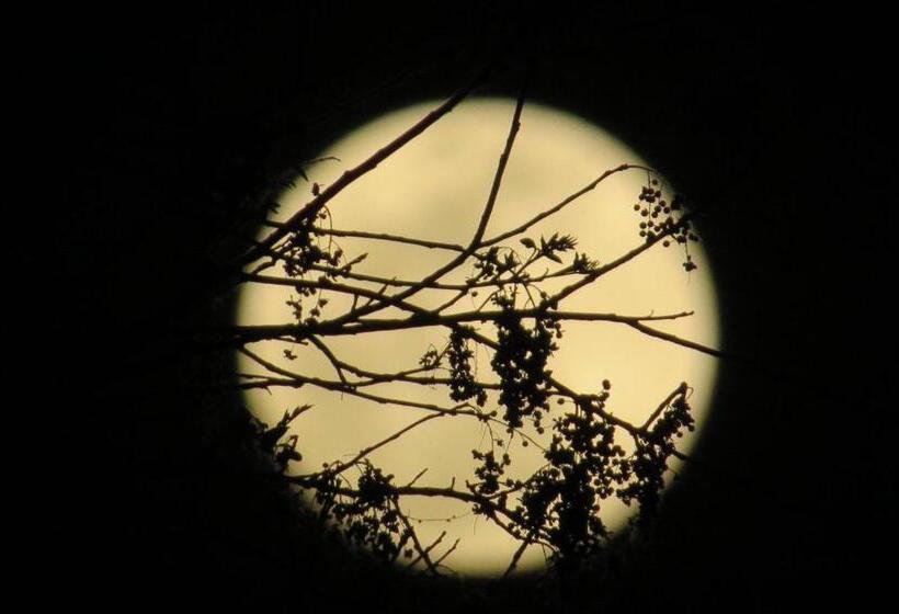 Общежитие Pousada Luna Zen