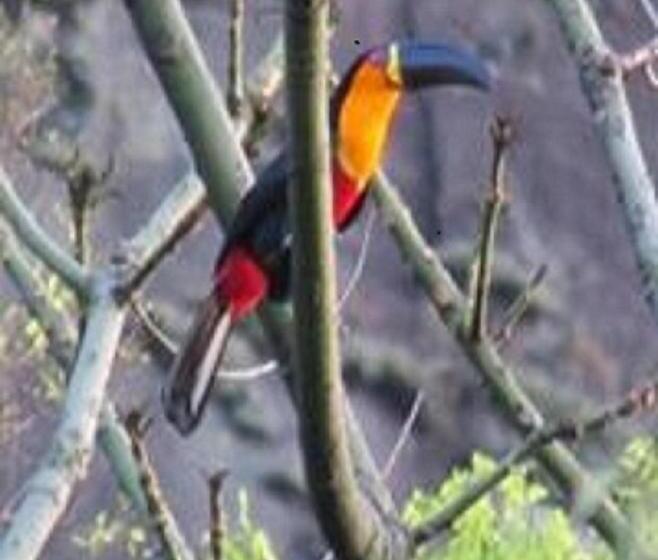 旅馆 Pousada Spa Alto Da Serra