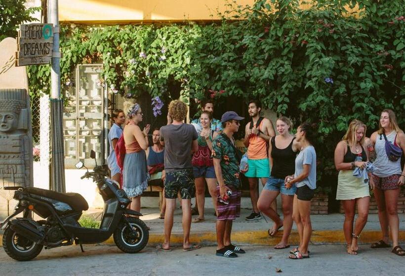 旅馆 Puerto Dreams H