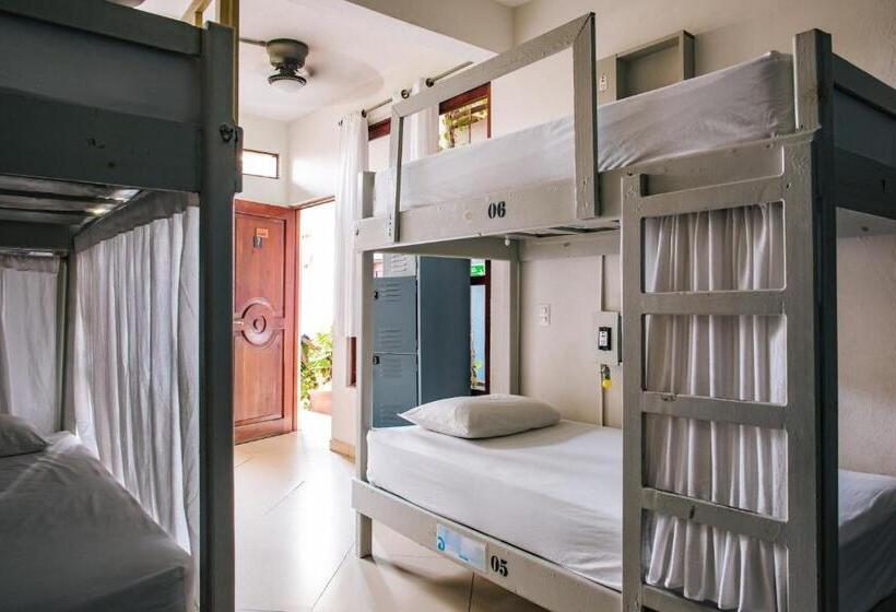 هاستل Puerto Dreams H