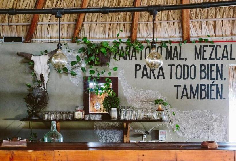 旅馆 Puerto Dreams H