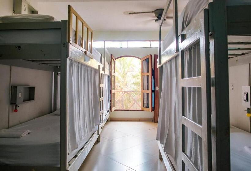 旅馆 Puerto Dreams H