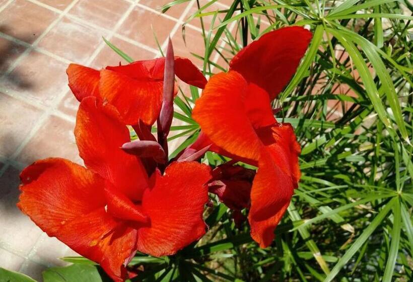 ユースホステル Sierras