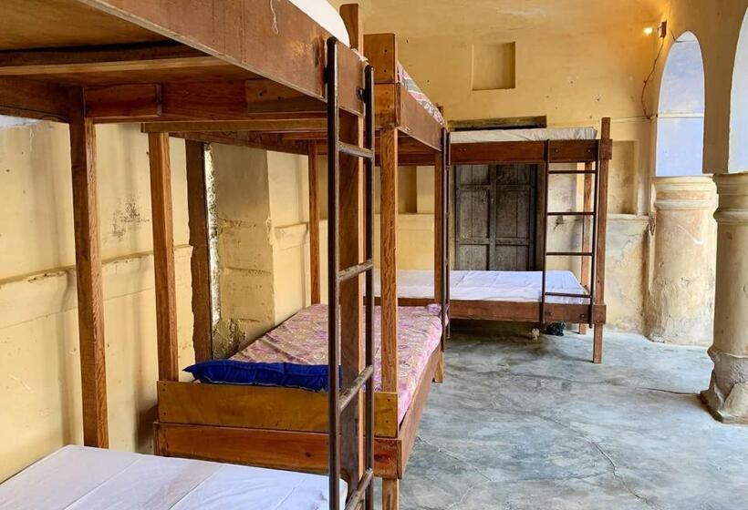 فندق صغير Topaz Backpackers