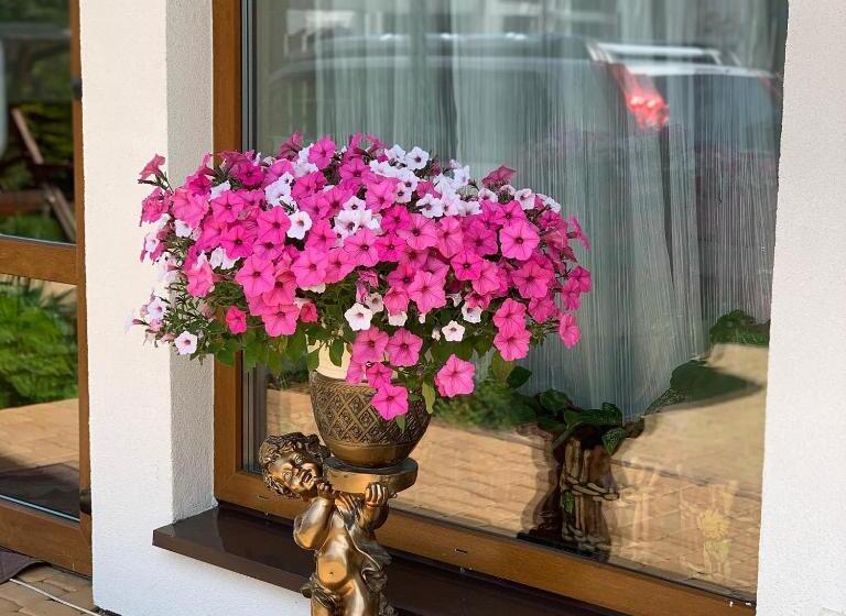 هاستل Villa Exclusive