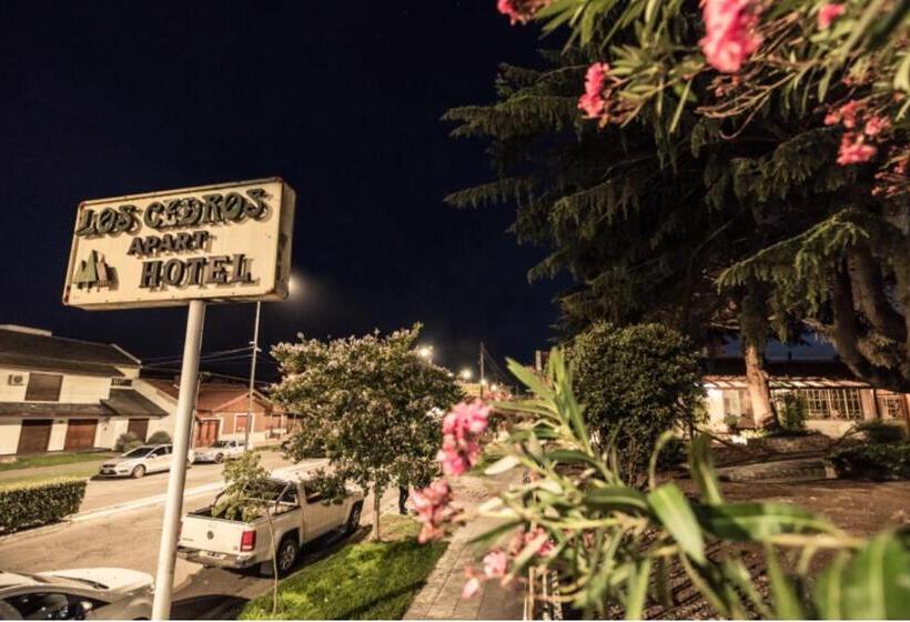 Apart Hotel Los Cedros