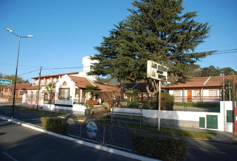 Apart Hotel Los Cedros