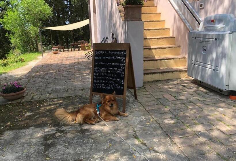 住宿加早餐 Bb Gli Aristogatti