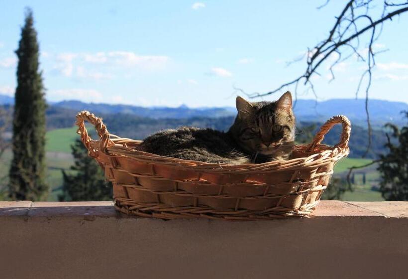 민박 Bb Gli Aristogatti