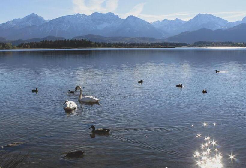 Bed and Breakfast Gästehaus Schöberl