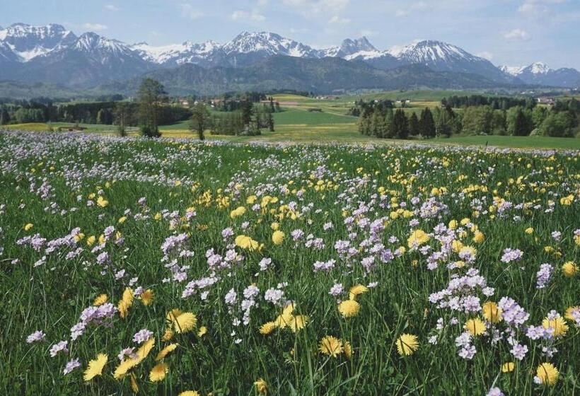 Bed and Breakfast Gästehaus Schöberl