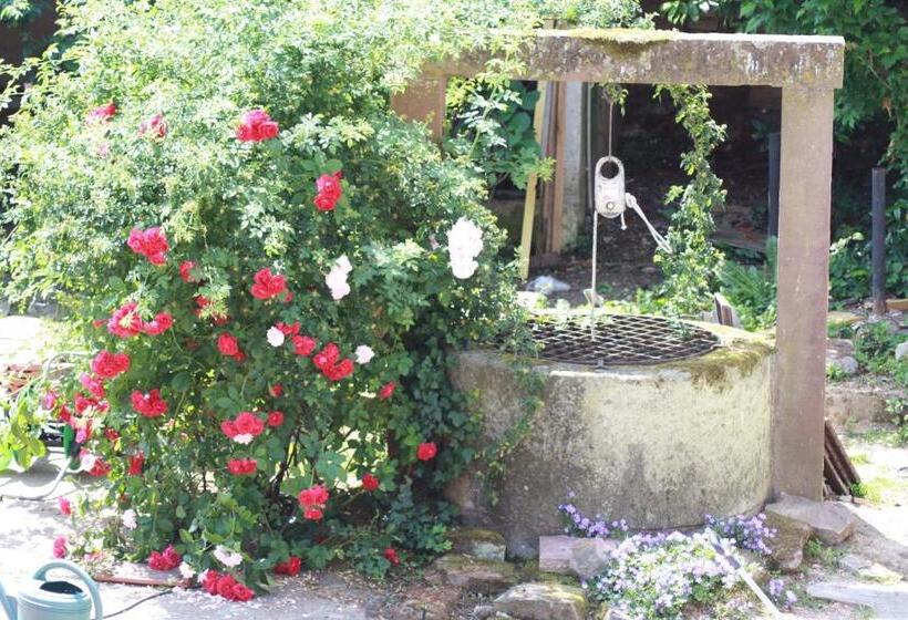 Bed and Breakfast La Grange Aux Coqs