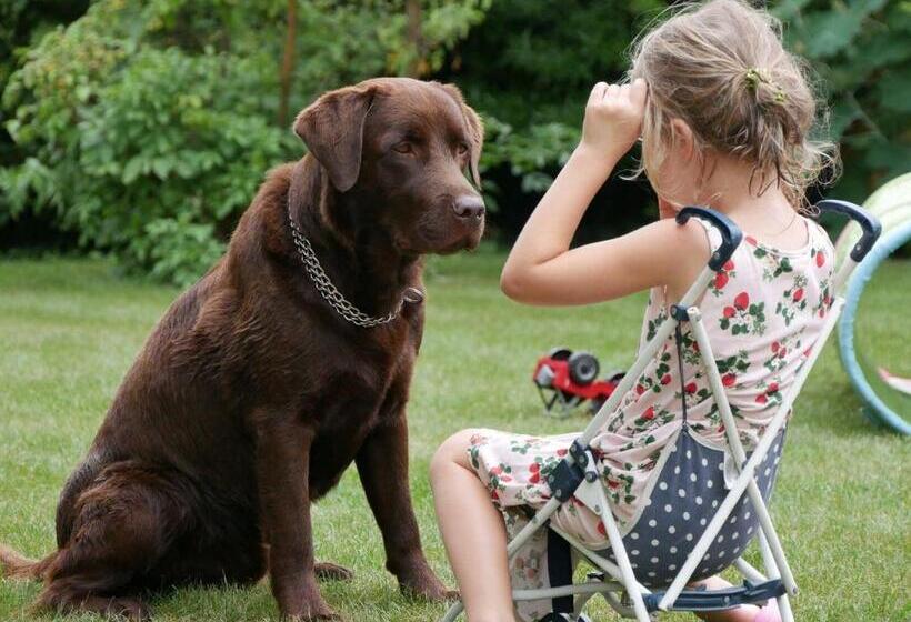 Bed and Breakfast La Grange Aux Coqs