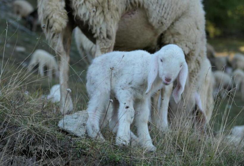 住宿加早餐  La Slitta
