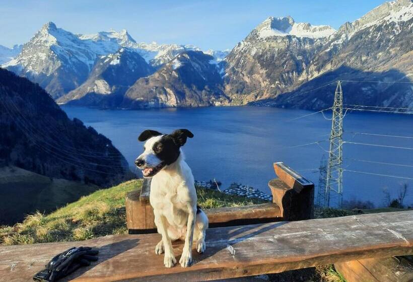 Bed and Breakfast Panorama Jurte über Dem Uri See B