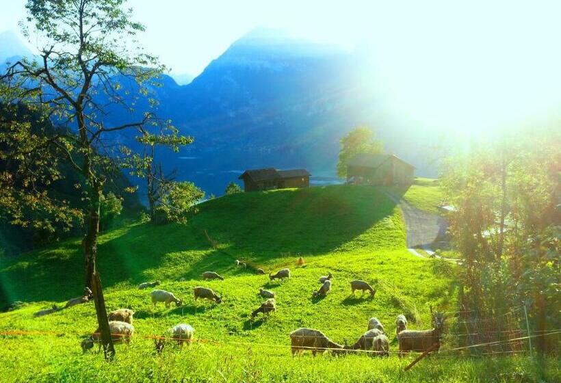 Bed and Breakfast Panorama Jurte über Dem Uri See B