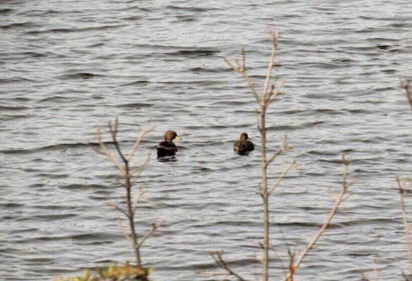 ベッドアンドブレックファースト Peperina Lago Los Molinos