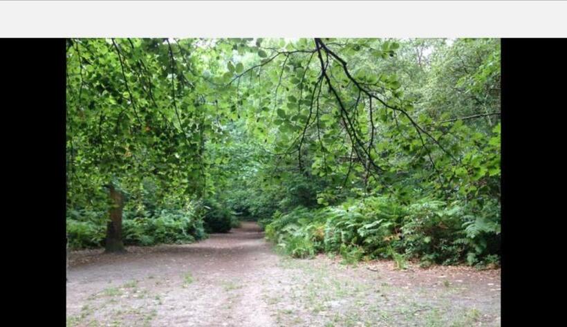 ベッドアンドブレックファースト Wisteria House Perfect For Contractors & Business