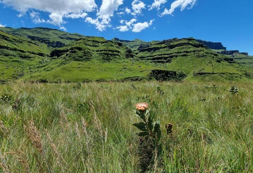 צימר Yellowwood Cottage
