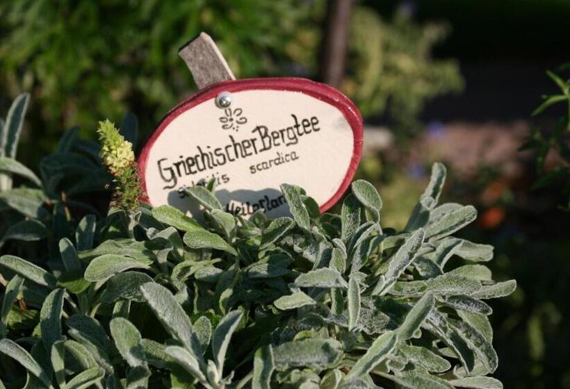 호텔 Der Bären In Zell