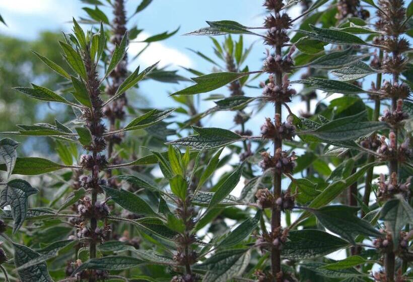 호텔 Der Bären In Zell