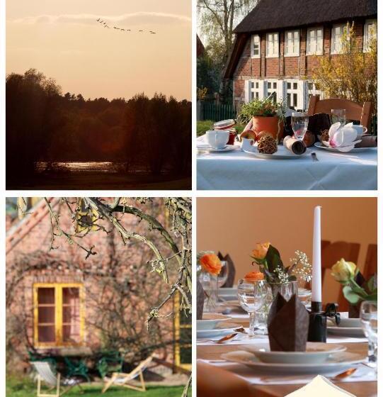 ホテル Alter Hof Am Elbdeich