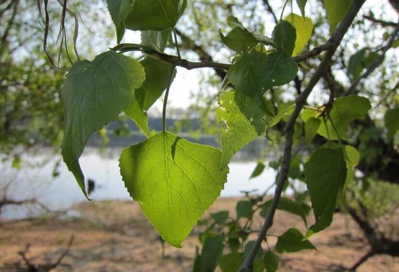 ホテル Alter Hof Am Elbdeich
