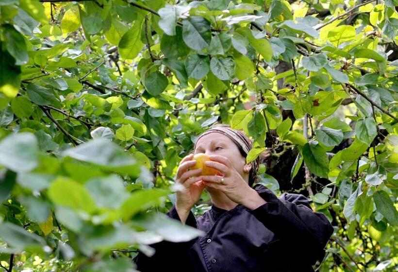 ホテル Alter Hof Am Elbdeich