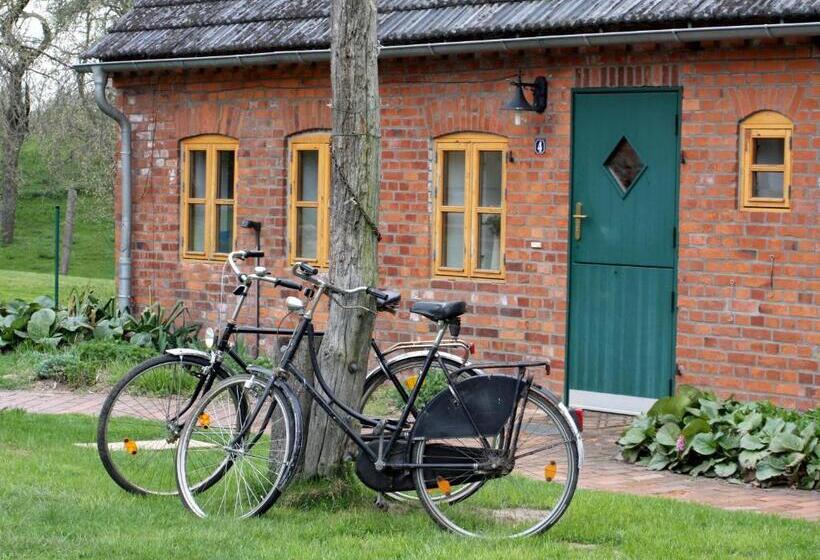 ホテル Alter Hof Am Elbdeich