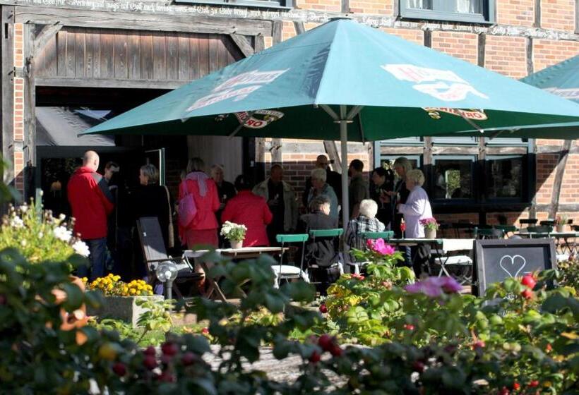 ホテル Alter Hof Am Elbdeich