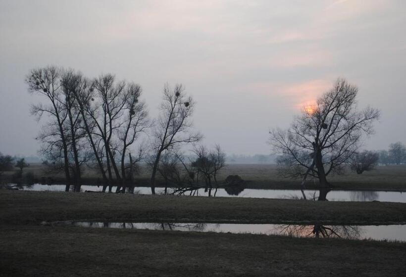 בית מלון כפרי Alter Hof Am Elbdeich