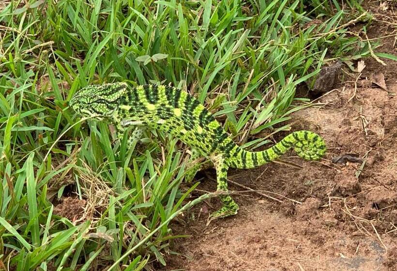 בית מלון כפרי Atulyam Farm